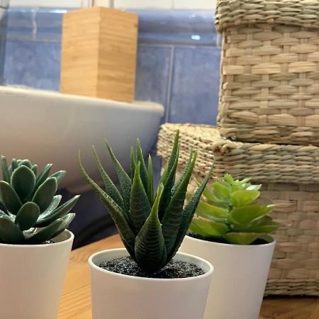 セビリアStunning Attic With Private Terrace And Parking Optionalアパートメント エクステリア 写真